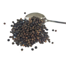 Top Quality  Black Pepper Seeds For Sale